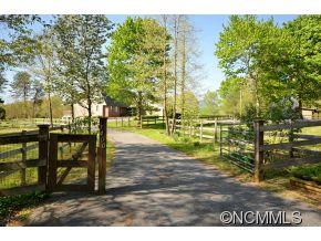 1400 South Wilson Hill Road Mill Spring, NC 28756 - Photo 2 of 24 a view of yard with trees