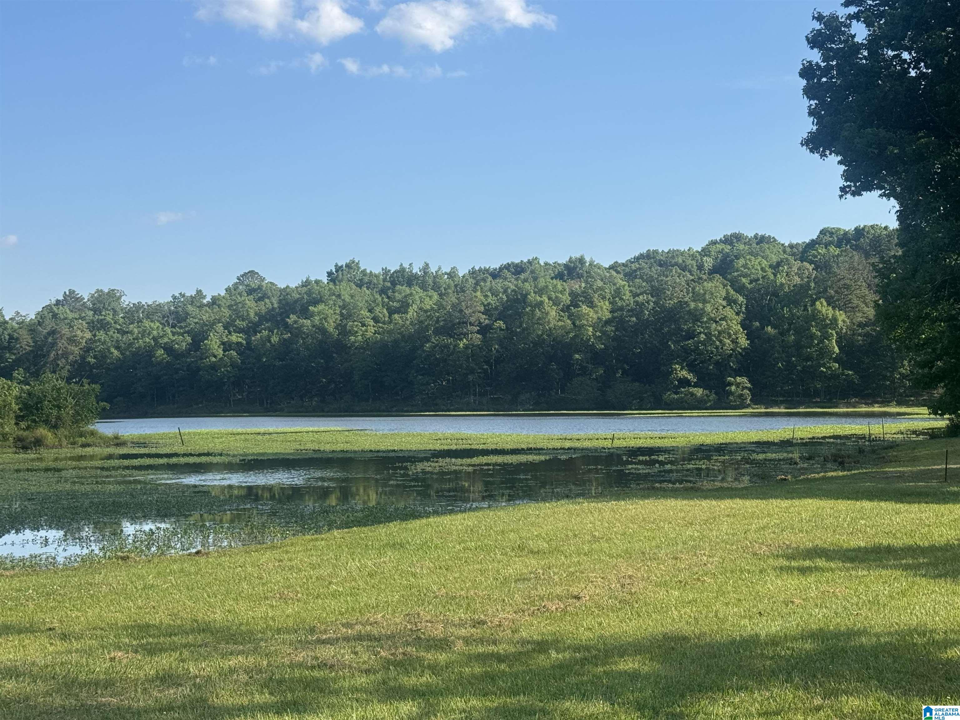 1525 Chelsea Road Columbiana, AL 35051 - Photo 4 of 49