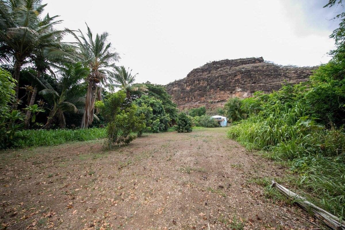 5390 Menehune Road Waimea, HI 96796 - Photo 17 of 22 a view of a dry yard with a large tree