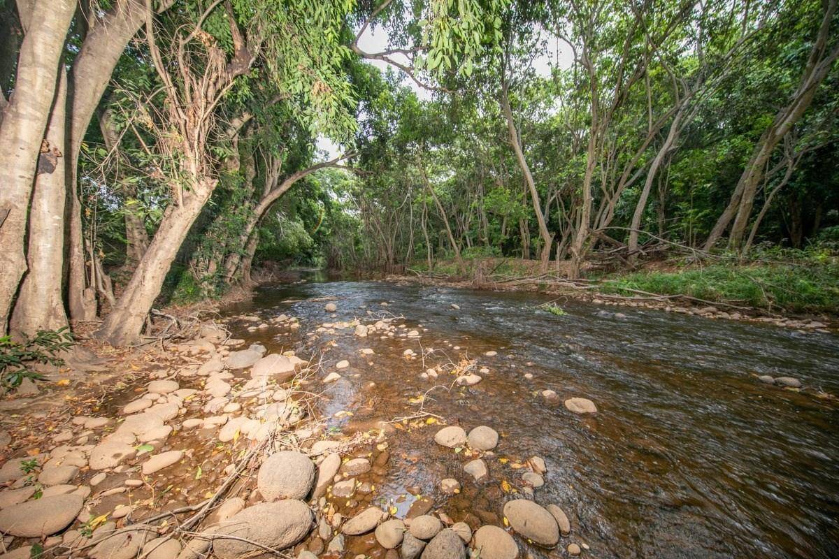 5390 Menehune Road Waimea, HI 96796 - Photo 20 of 22 a view of a yard with a tree