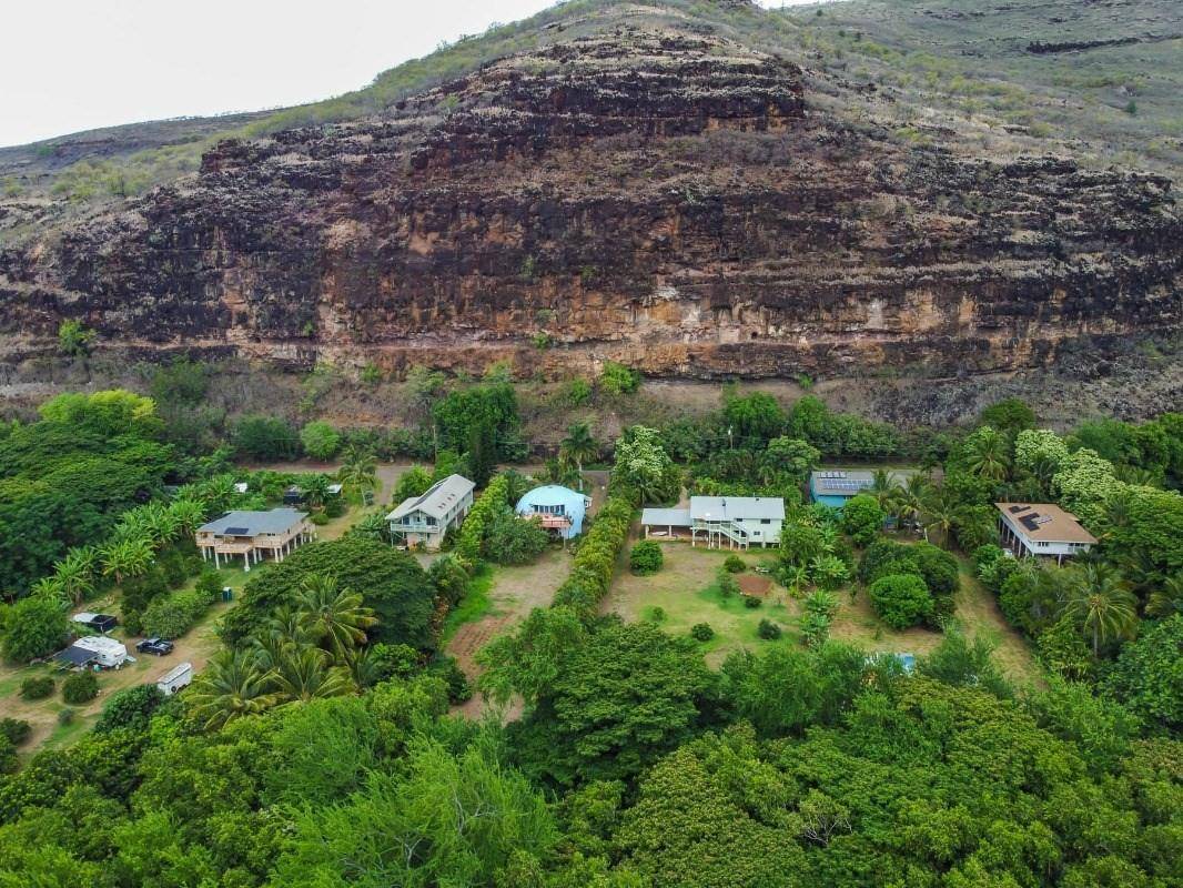 5390 Menehune Road Waimea, HI 96796 - Photo 22 of 22 a view of a bunch of trees and bushes