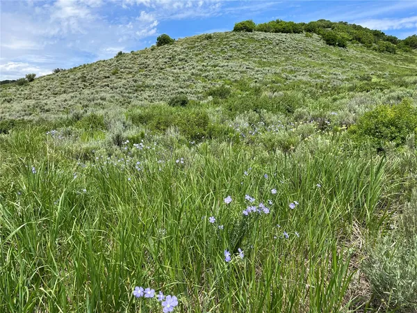$520,320 | 46 Routt County Road, Steamboat Springs, CO 80487