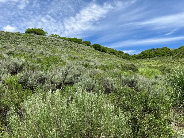 $520,320 | 46 Routt County Road, Steamboat Springs, CO 80487