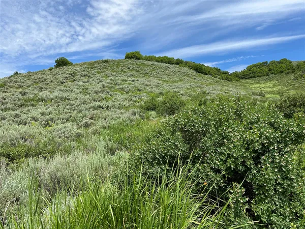 $520,320 | 46 Routt County Road, Steamboat Springs, CO 80487