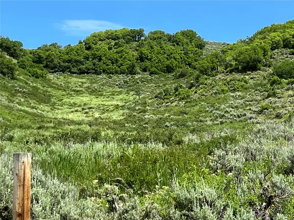 $520,320 | 46 Routt County Road, Steamboat Springs, CO 80487