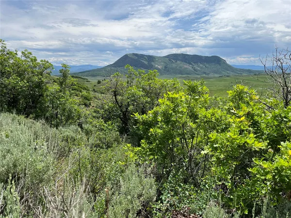 $520,320 | 46 Routt County Road, Steamboat Springs, CO 80487