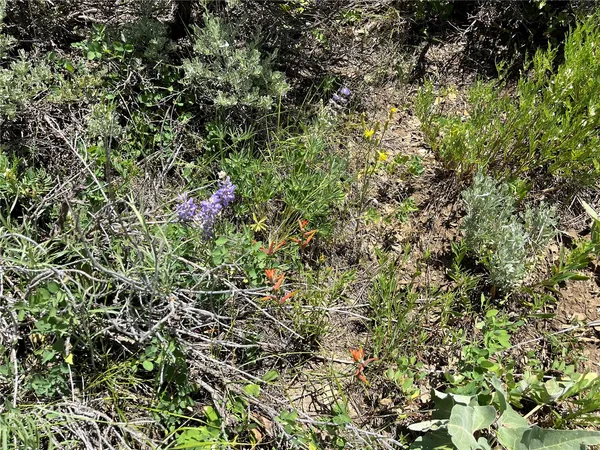 $520,320 | 46 Routt County Road, Steamboat Springs, CO 80487