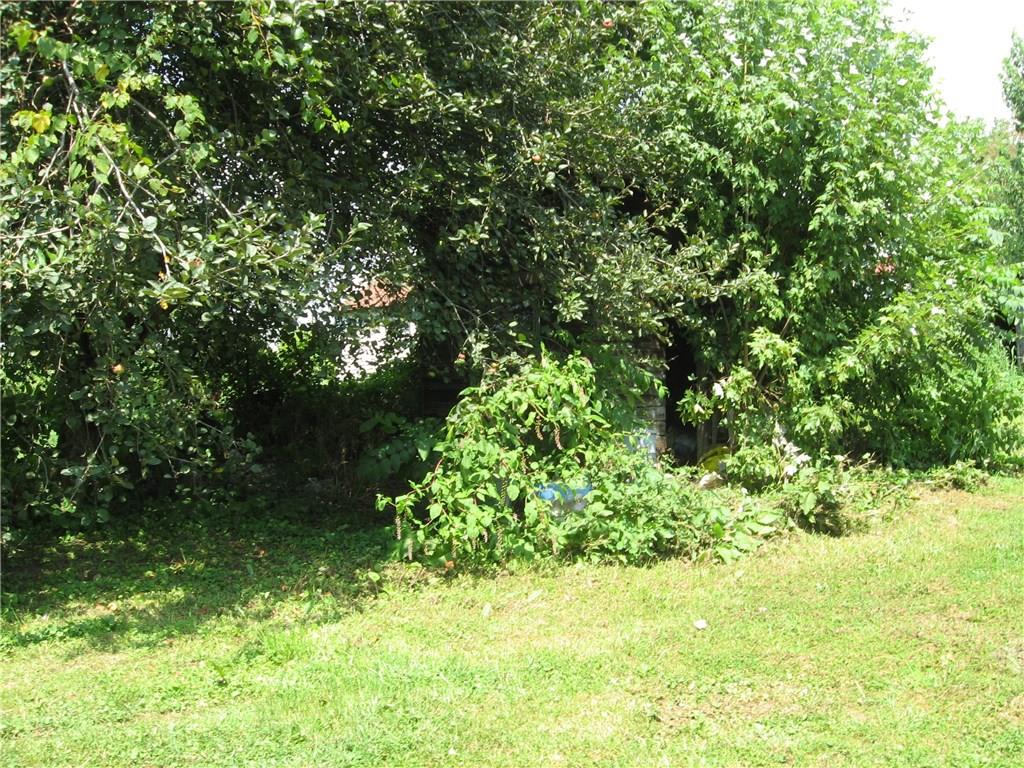 353 Bessemer Road Mount Pleasant, PA 15666 - Photo 6 of 7 Small storage shed in overgrown trees. Some trees are fruit trees.