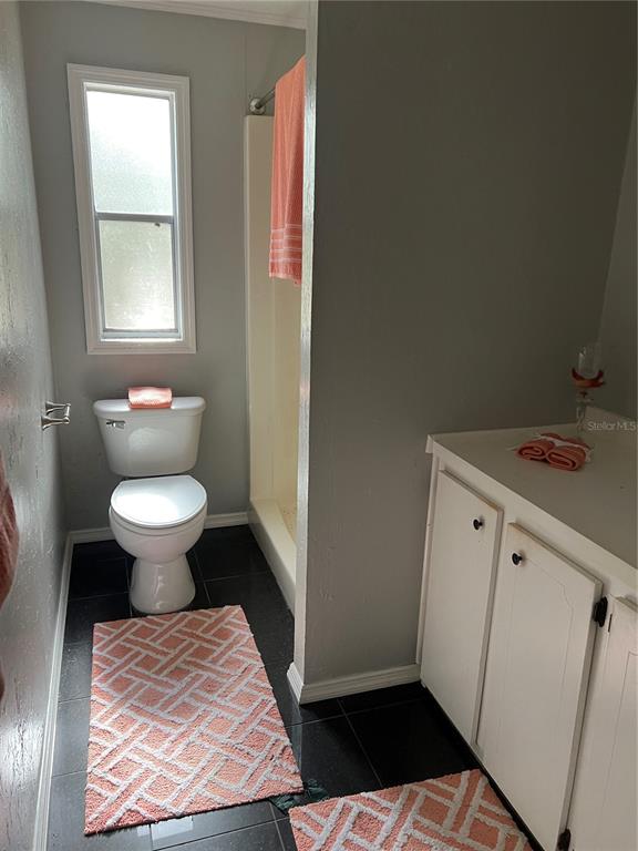 5020 Sydney Road Plant City, FL 33566 - Photo 33 of 33 a bathroom with a sink and a toilet