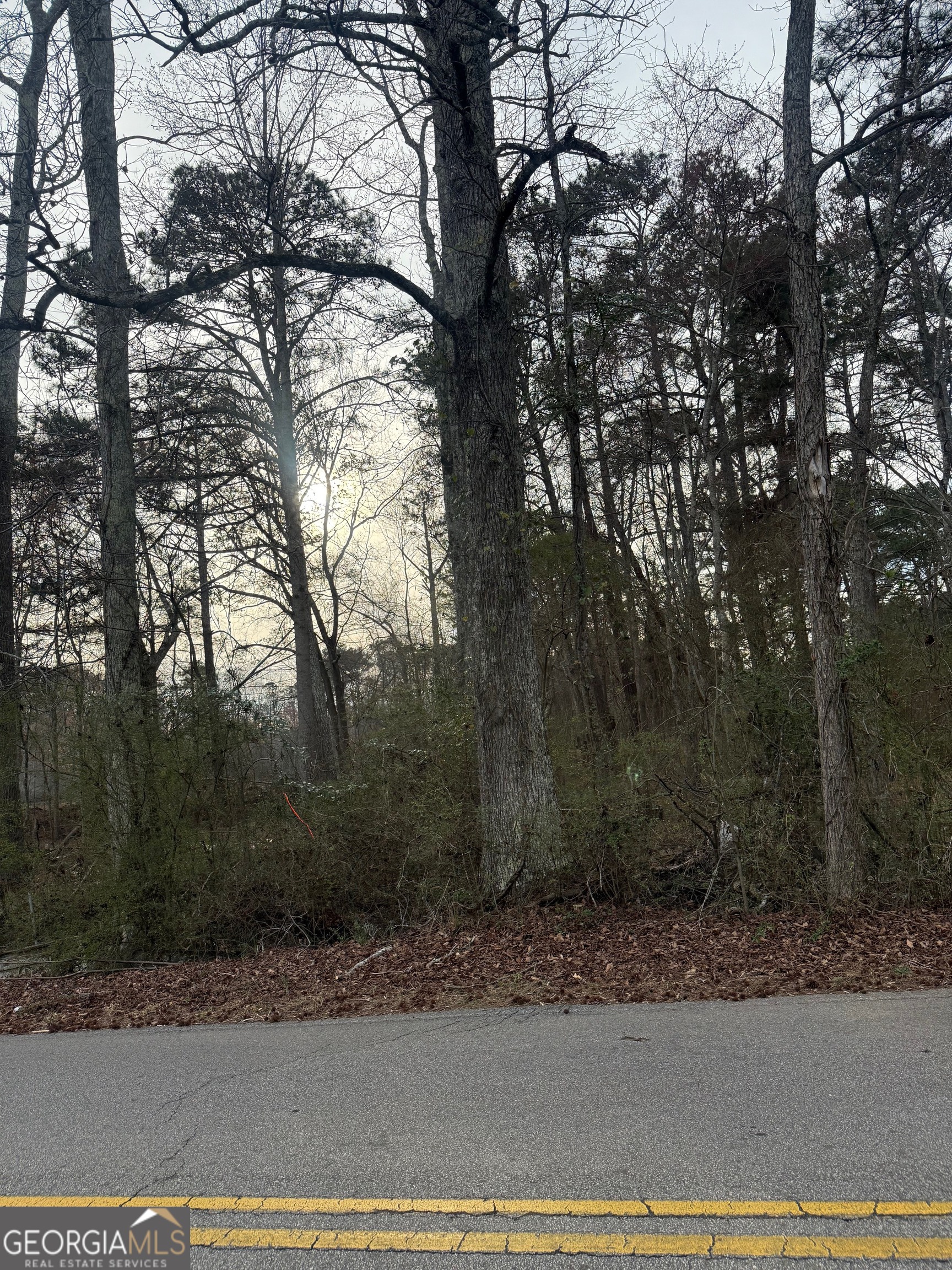 158 Alexander Road McDonough, GA 30253 - Photo 2 of 2 a view of a yard with a tree