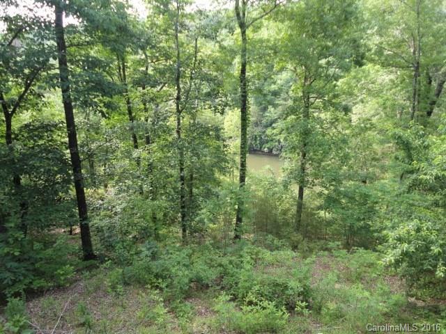 132 Forest Cove Rutherfordton, NC 28139 - Photo 21 of 24 Gallery Image 21