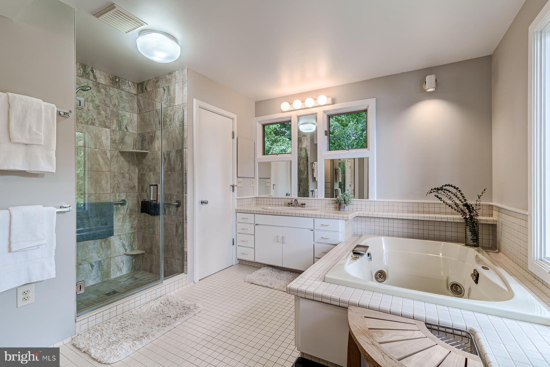 2930 Edgewater Drive Edgewater, MD 21037 - Photo 60 of 120 Primary Bathroom