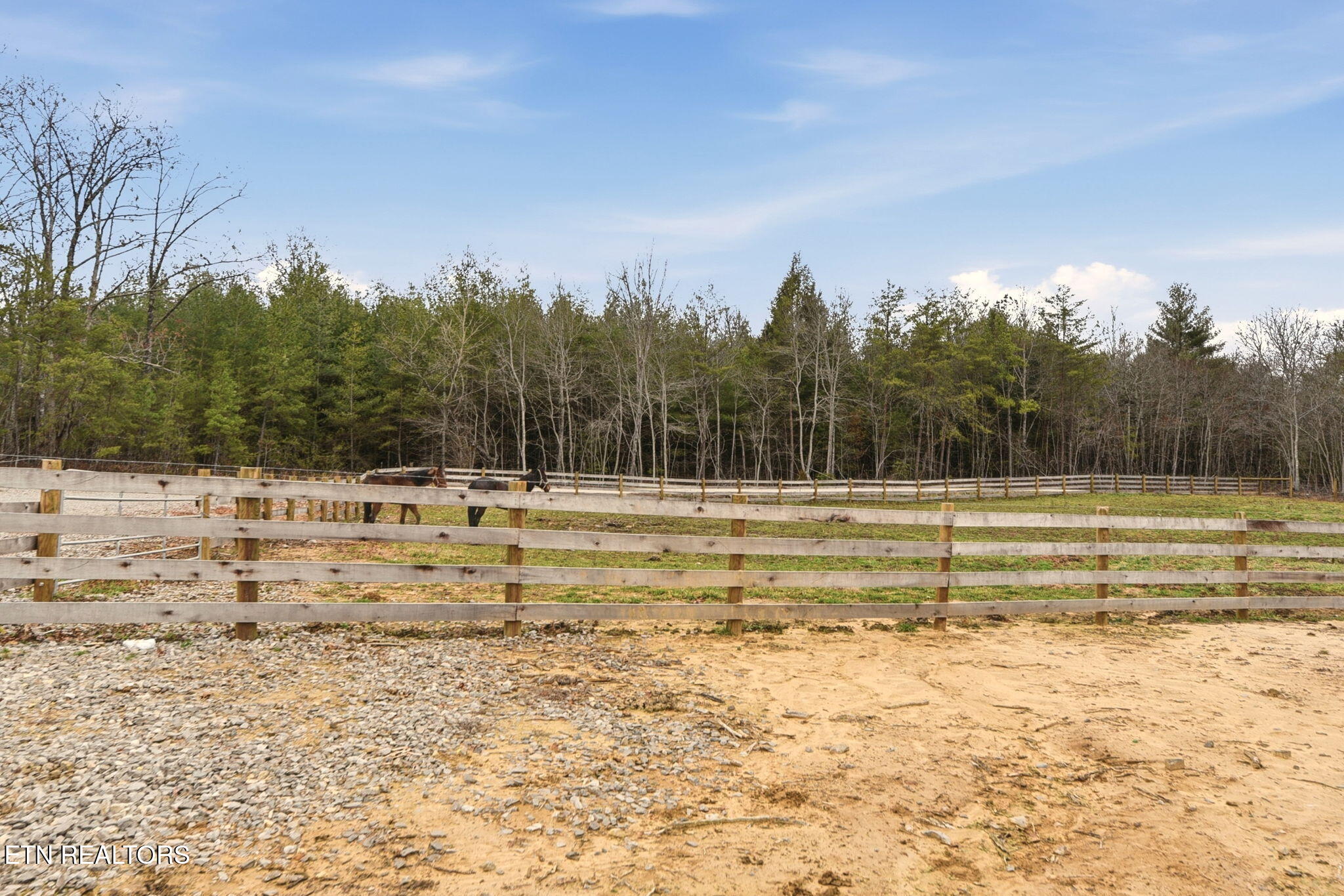 337 Old Collins Road Deer Lodge, TN 37726 - Photo 31 of 40 31