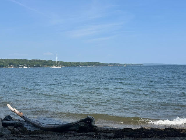 98 Bayview Street Belfast, ME 04915 - Photo 42 of 45 unnamed (86)