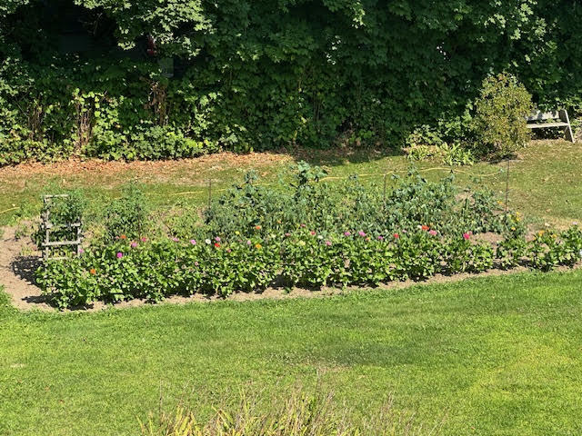 98 Bayview Street Belfast, ME 04915 - Photo 6 of 45 unnamed (66)