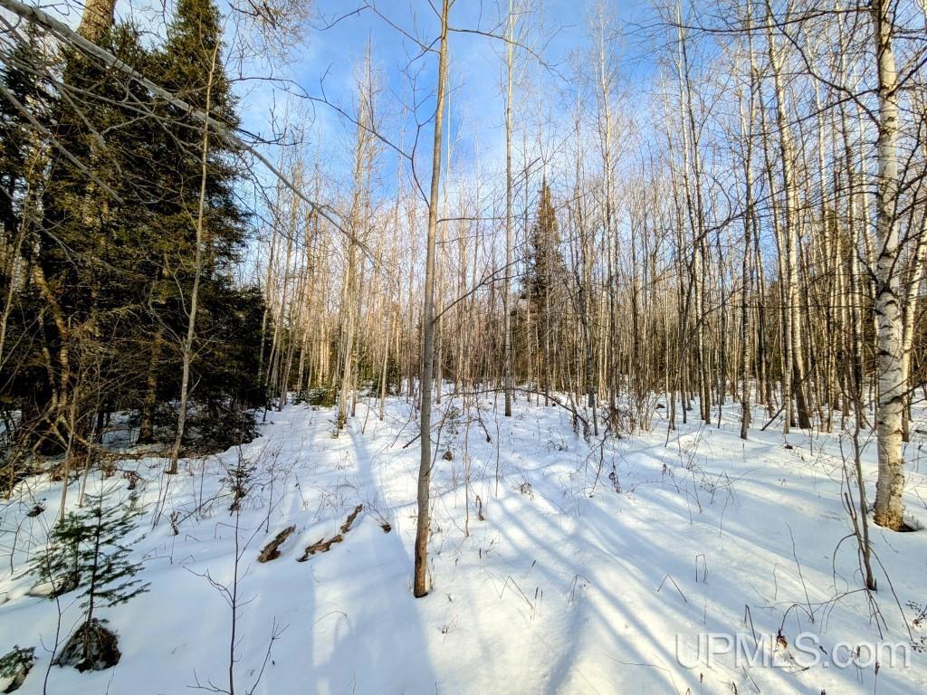 4500 Rd Watersmeet Mi 49969 Road Trout Creek, MI 49967 - Photo 9 of 17