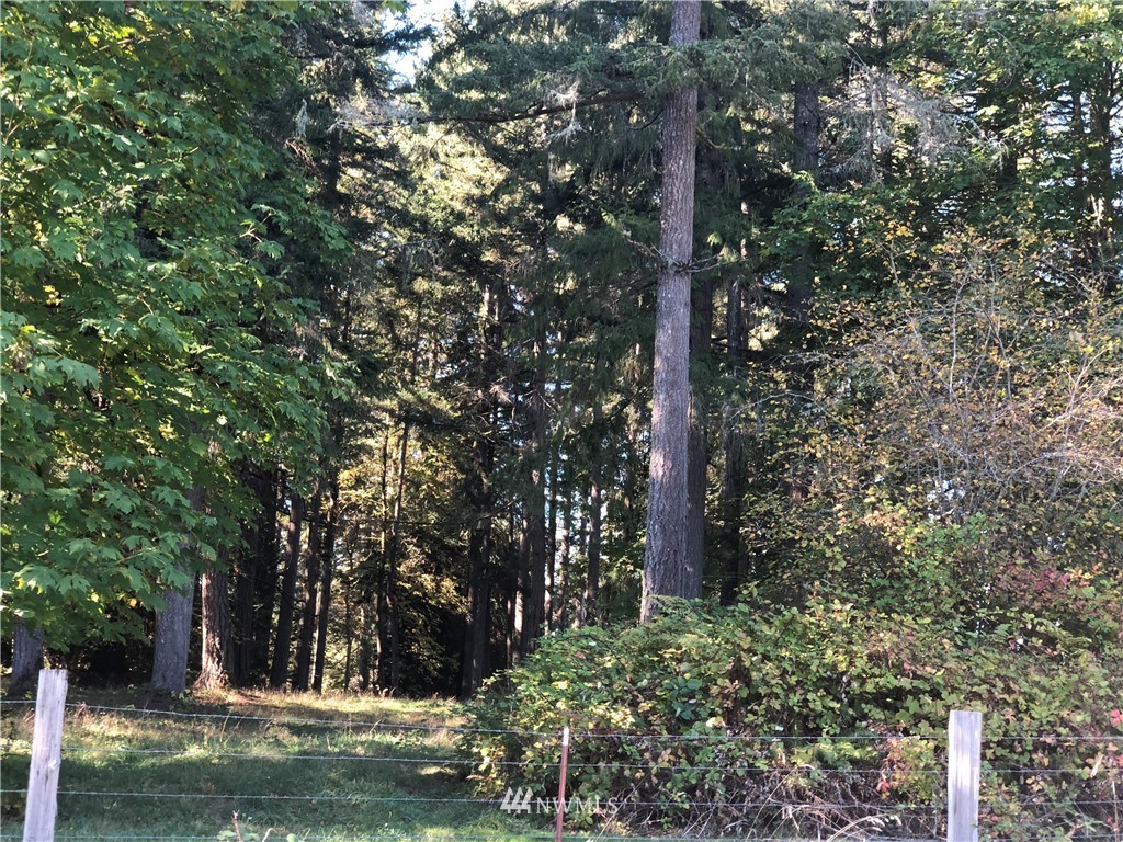 7315 Zangle Road Northeast Olympia, WA 98506 - Photo 2 of 3 Gallery Image 2
