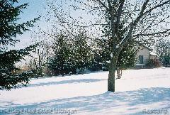 595 East Allen Road Howell, MI 48855 - Photo 6 of 6 Backyard