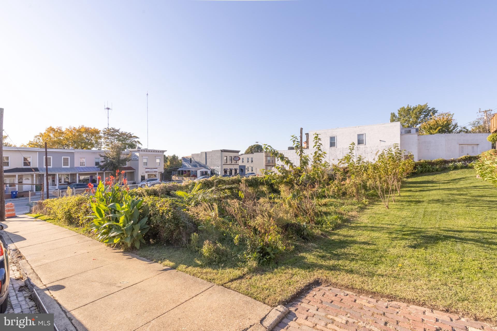 3801 Falls Road Baltimore, MD 21211 - Photo 6 of 21 upper green lot