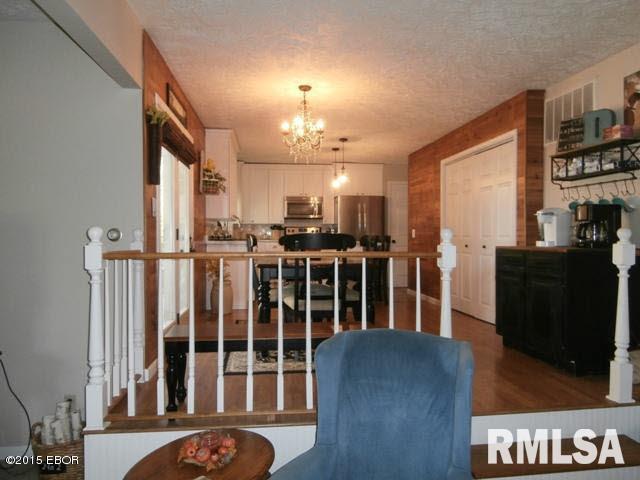 7841 Idyle Wild Road Du Quoin, IL 62832 - Photo 4 of 14