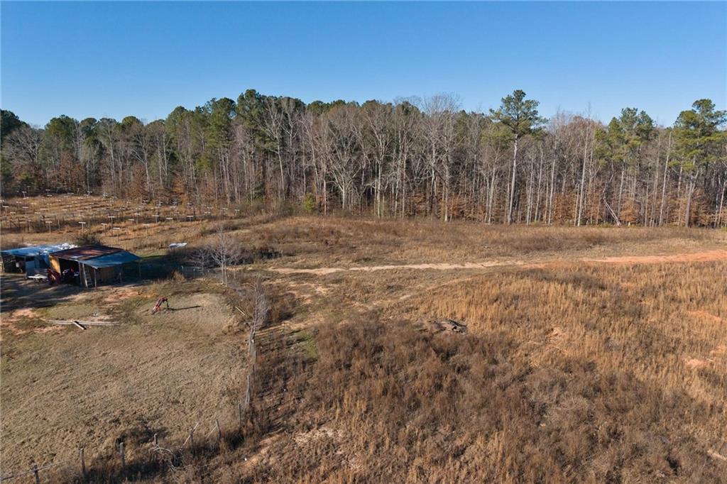 415 Tapley Road Villa Rica, GA 30180 - Photo 12 of 25 a view of a yard with a tree