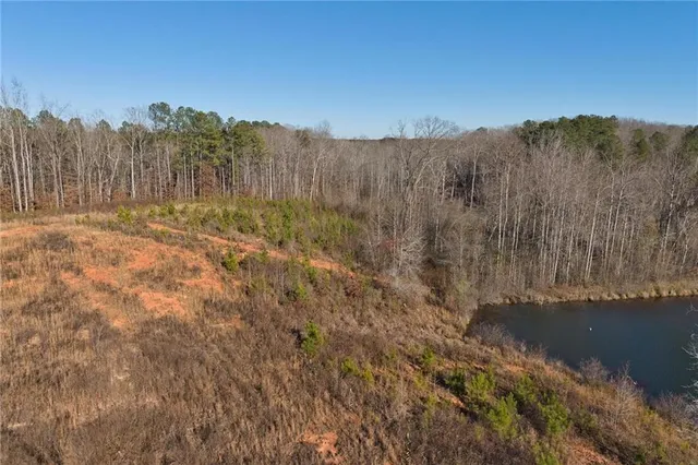 a view of a town with trees