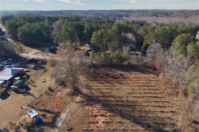 a street view with lots of trees