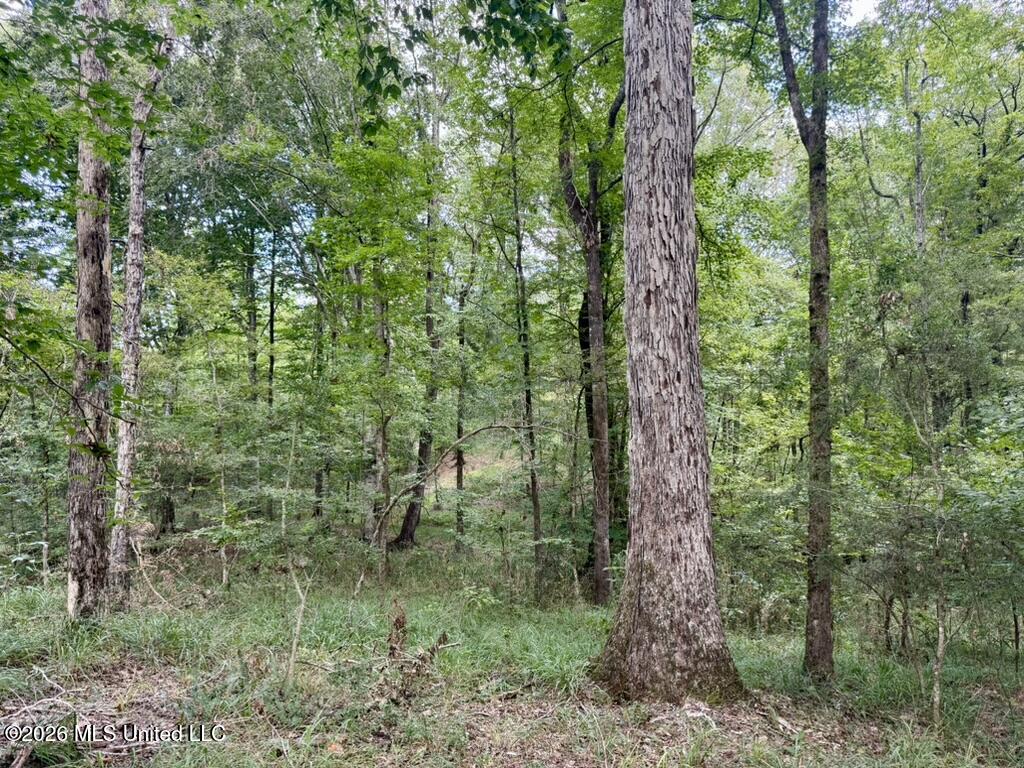 1 Chapel Hill Road Utica, MS 39175 - Photo 54 of 107 1B5A1CFA-3ADE-48BF-9C52-88132DC29043_1_1