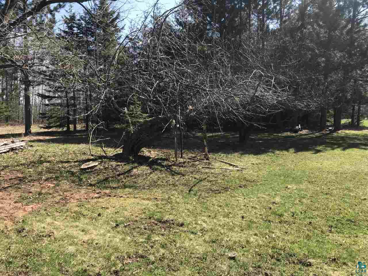 2778 Clark Road Two Harbors, MN 55616 - Photo 8 of 23 Old apple tree