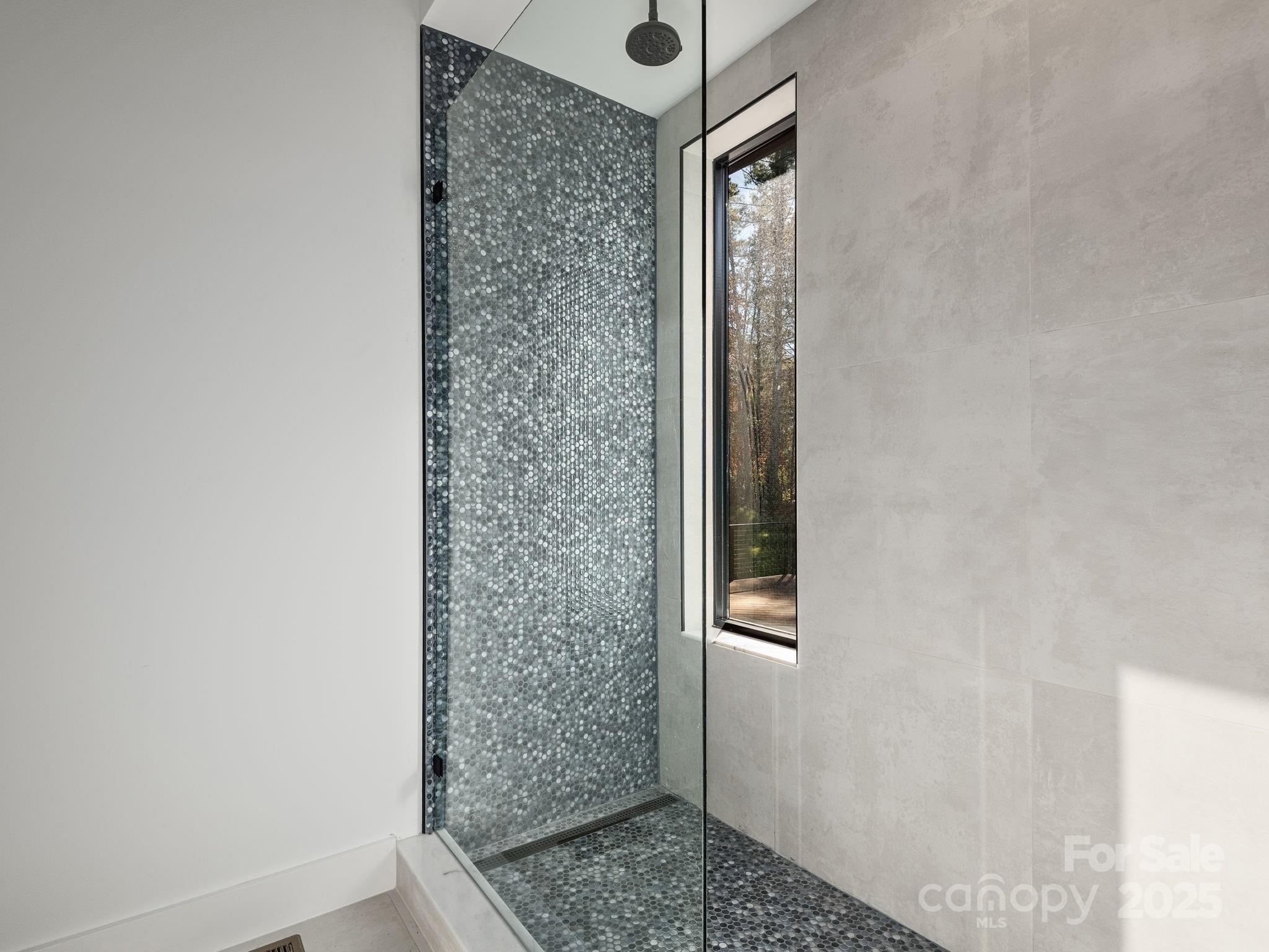 87 Verbania Rd Mills River Mills River, NC 28759 - Photo 14 of 27 a bathroom with a shower and a sink