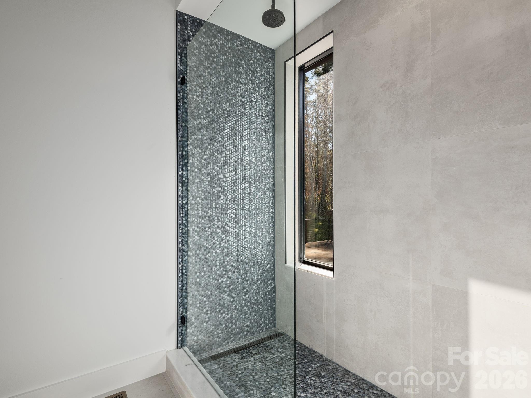 87 Verbania Rd Mills River Mills River, NC 28759 - Photo 14 of 27