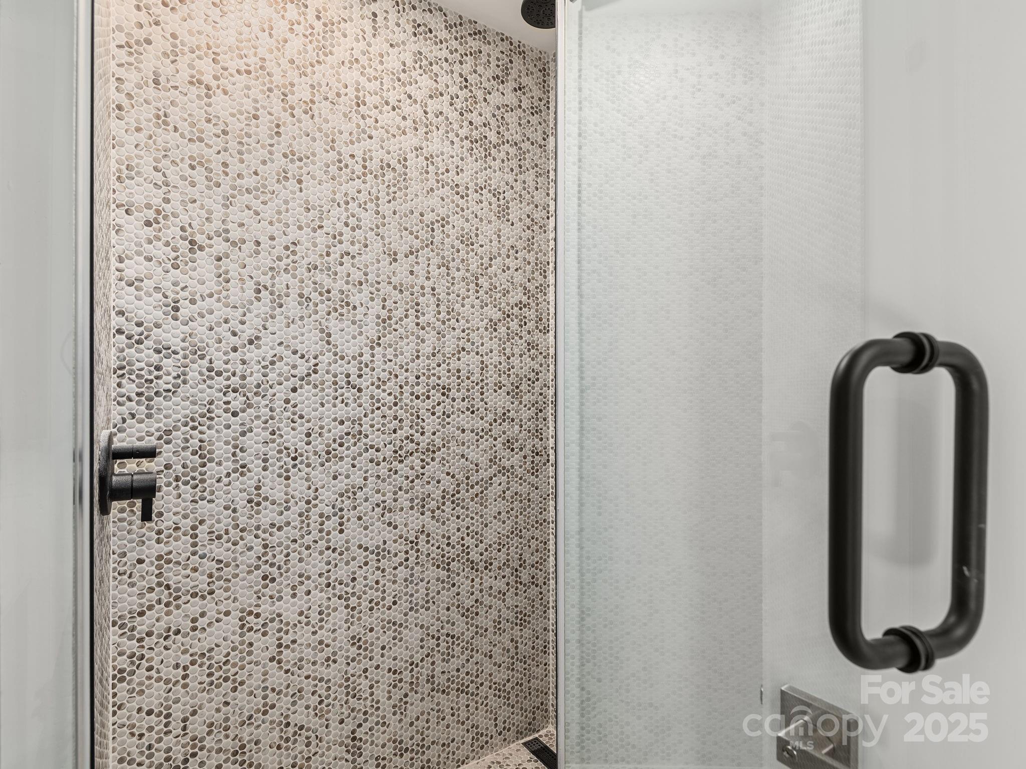 87 Verbania Rd Mills River Mills River, NC 28759 - Photo 15 of 27 a bathroom with a shower