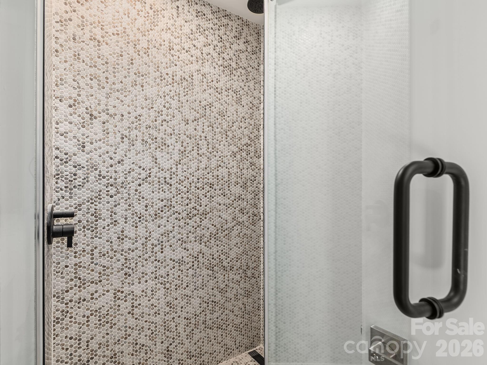 87 Verbania Rd Mills River Mills River, NC 28759 - Photo 15 of 27