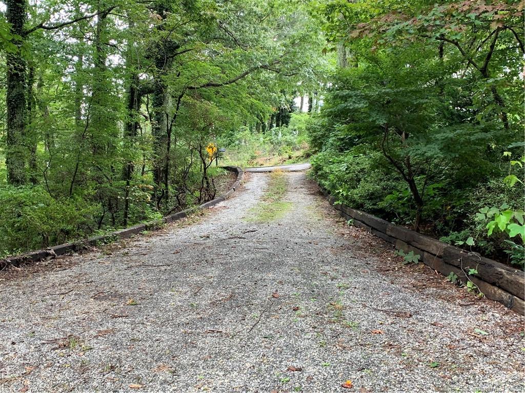 2940 Hogback Mountain Road Tryon, NC 28782 - Photo 12 of 12