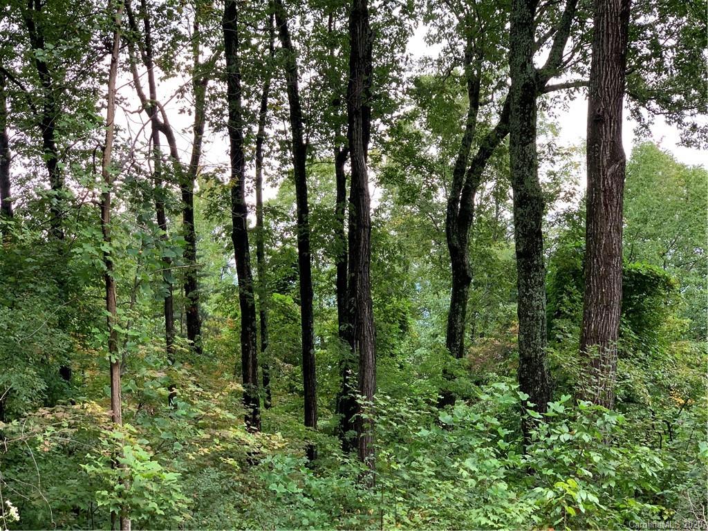2940 Hogback Mountain Road Tryon, NC 28782 - Photo 5 of 12