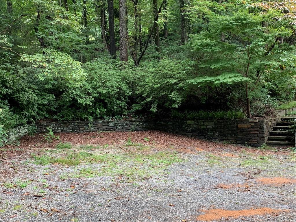 2940 Hogback Mountain Road Tryon, NC 28782 - Photo 6 of 12