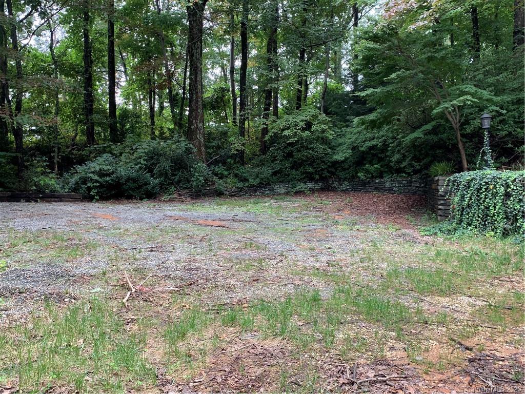 2940 Hogback Mountain Road Tryon, NC 28782 - Photo 10 of 12