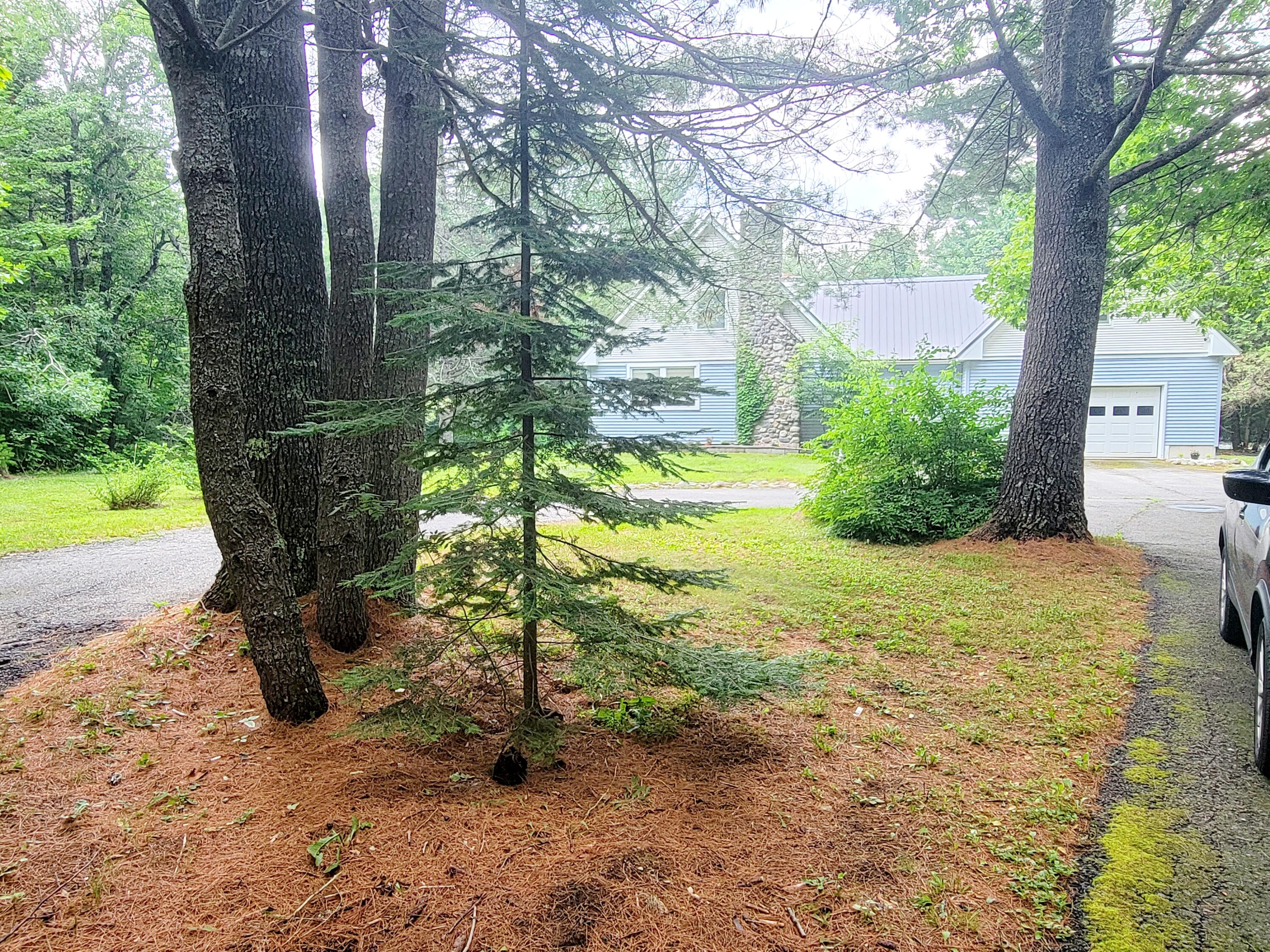 741 Airline Road Clifton, ME 04428 - Photo 39 of 41 20210720_150647 (1)