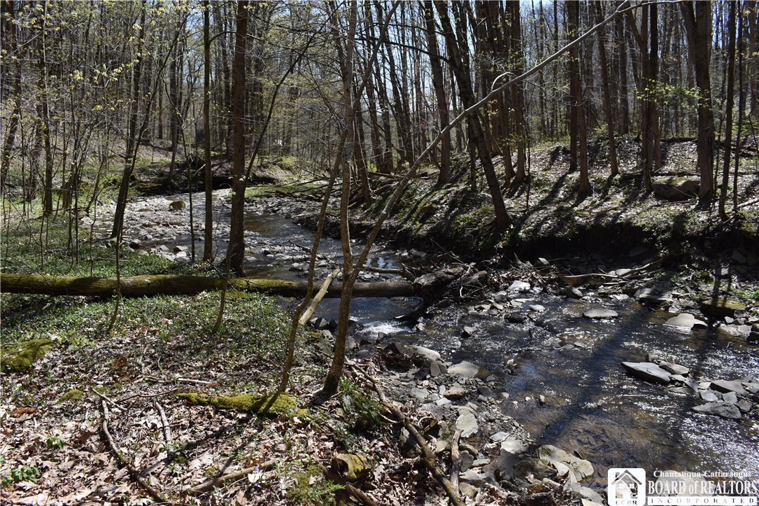 0 Fuller Gulf Road Cherry Creek, NY 14723 - Photo 21 of 25