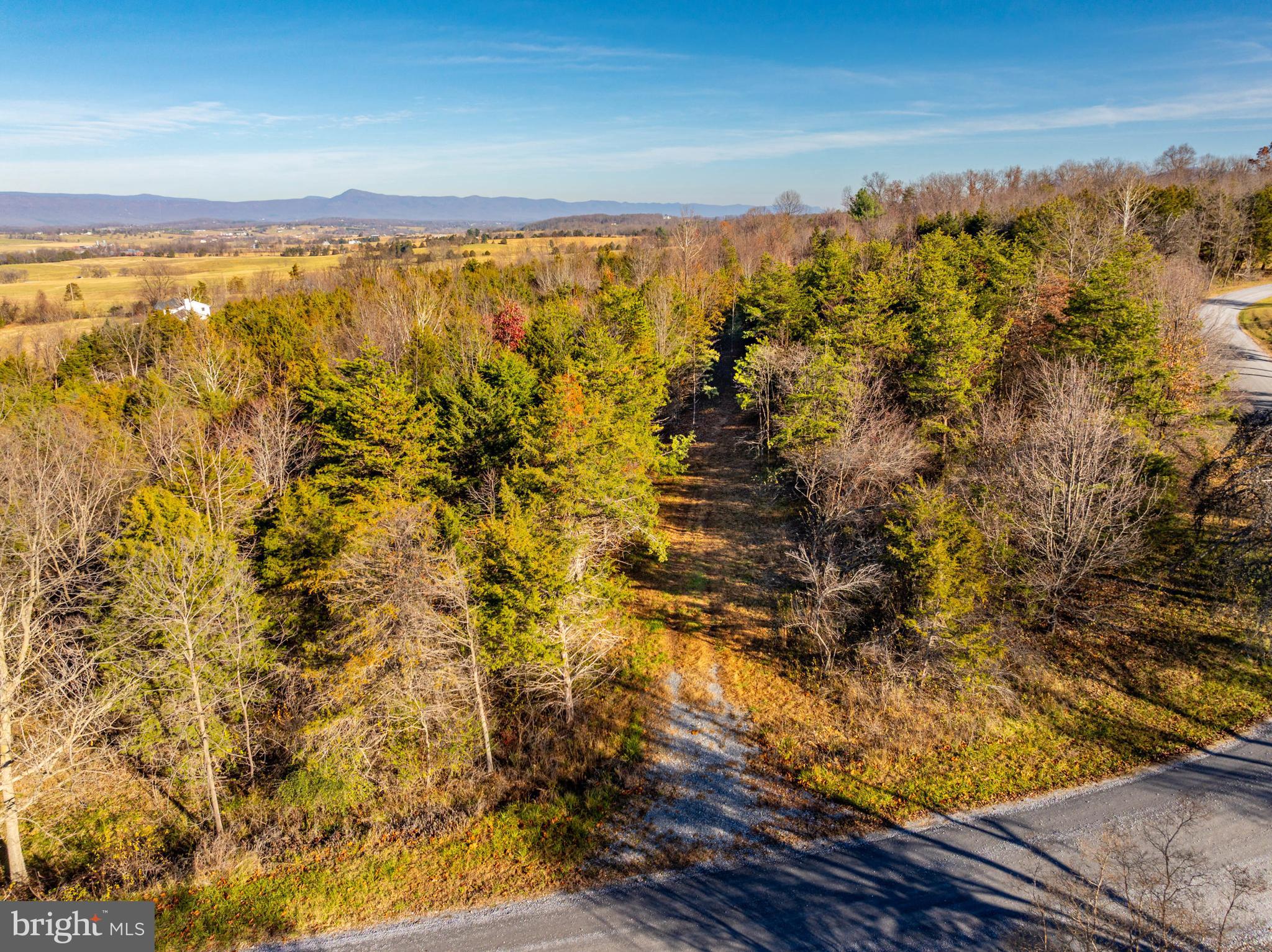 2 Harper Valley Road Luray, VA 22835 - Photo 5 of 15