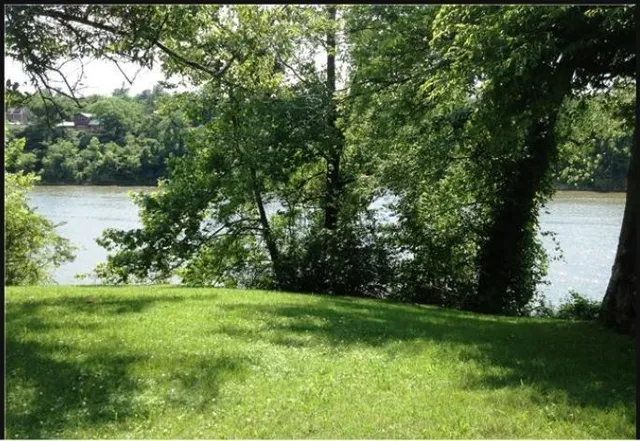 a view of green field with trees in the background