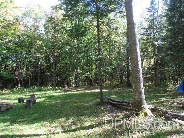 7333 West Harding Road Bessemer, MI 49911 - Photo 6 of 25 Gallery Image 6