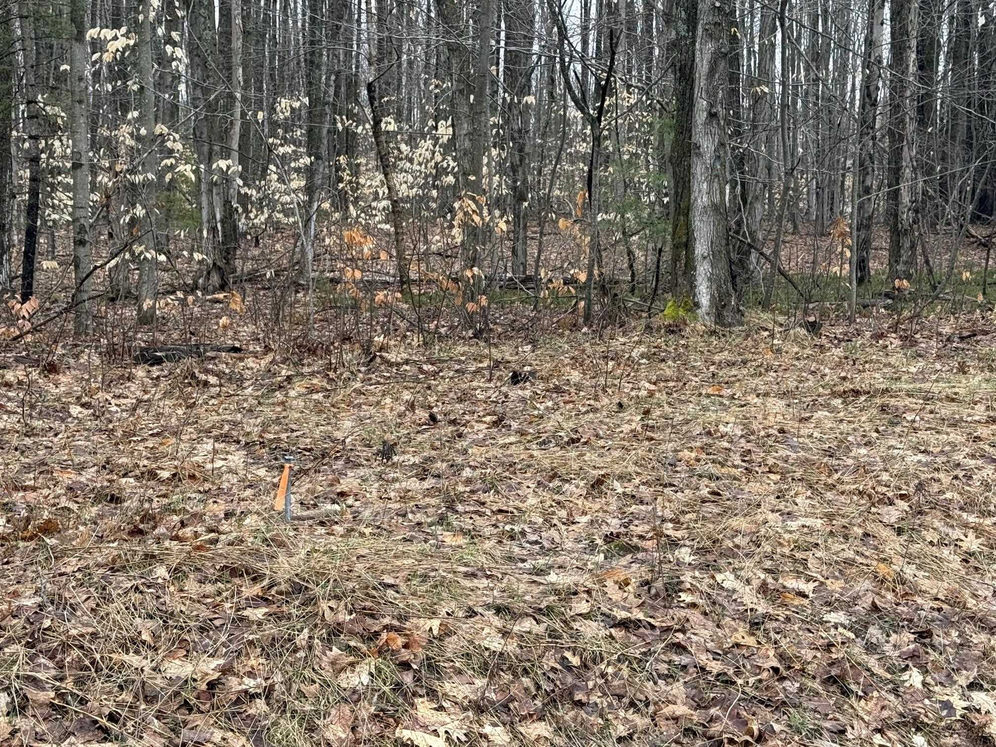 North VanderMeulen Road Lake City, MI 49651 - Photo 1 of 7