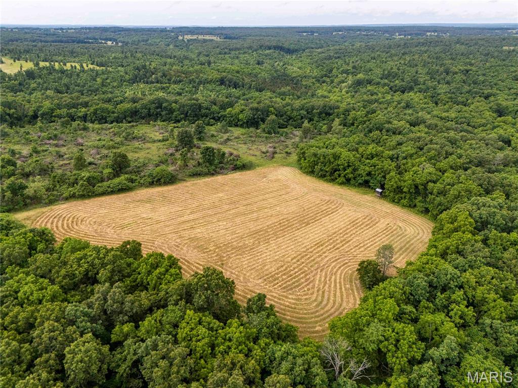 0 Abram Road Hartville, MO 65667 - Photo 65 of 97