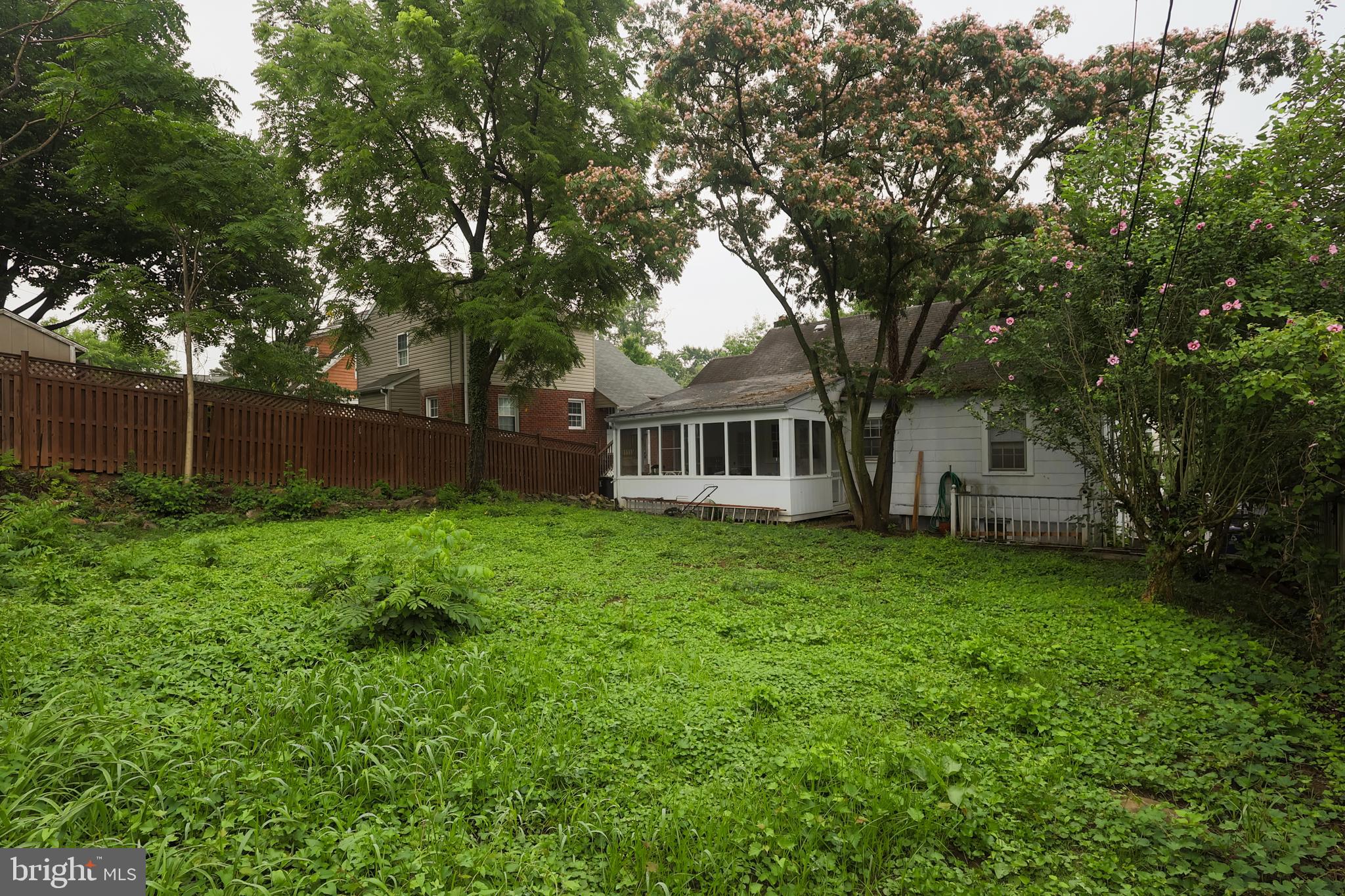 4827 16th Road North Arlington, VA 22207 - Photo 4 of 9