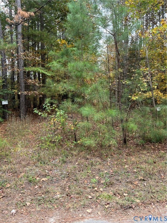 10565 Continental Road Quinton, VA 23141 - Photo 11 of 19 a big yard with lots of green space and deers