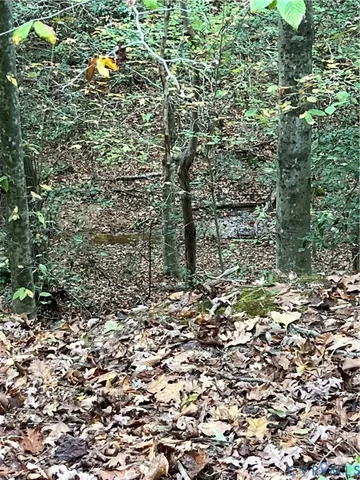 a wooden bench with view of trees
