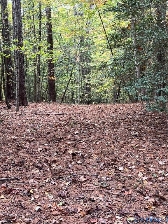 10565 Continental Road Quinton, VA 23141 - Photo 17 of 19 a wooden bench with view of trees