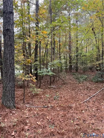 $300,000 | 10565 Continental Road, Quinton, VA 23141