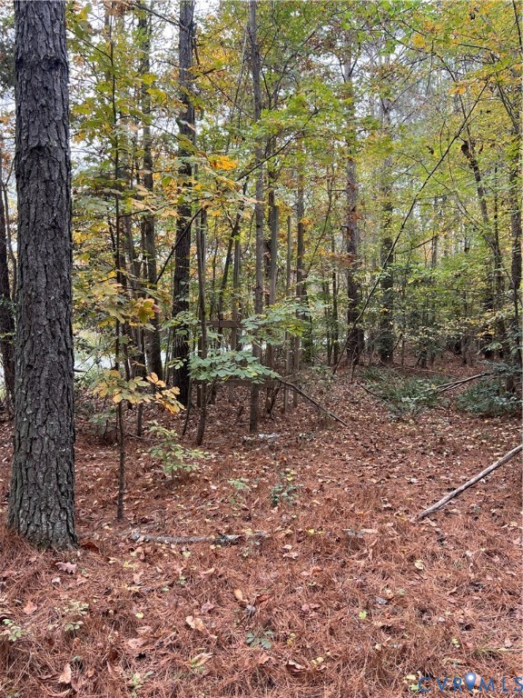10565 Continental Road Quinton, VA 23141 - Photo 18 of 19 a view of outdoor space and yard
